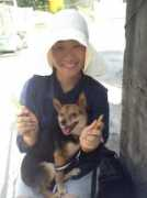 animalrescuekorea.org Tampung