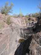 trailsandtreasures.com Tanaja
