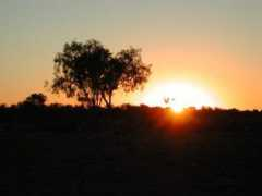 panoramio.com Tanami