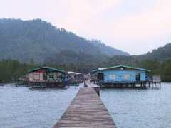 Tandoan