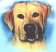 Tandog