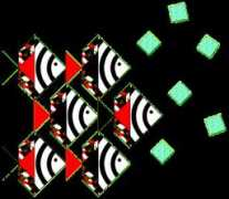 tangrammit.com Tandora