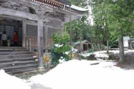 shima7.com Taneji