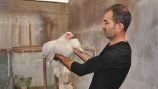 hurriyet.com.tr Tanesini