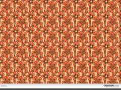 colourlovers.com Tangerino