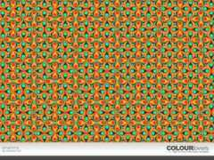 colourlovers.com Tangeroise