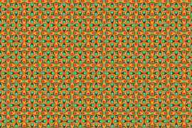 colourlovers.com Tangeroise