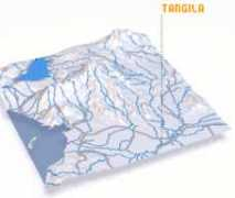 Tangila