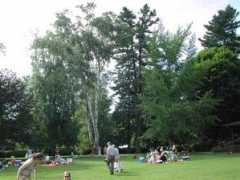 pl.northrup.org Tanglewood
