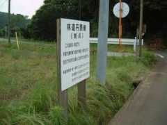 wangan.info Tanhara