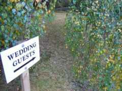pennyswedding.com Taniesha