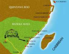 Taninah