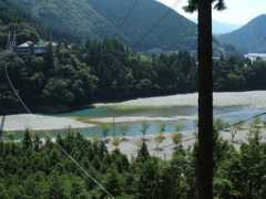 sachicon.com Tanise