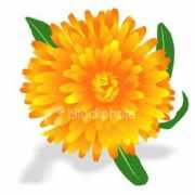 shambhudas.com Tanjeer