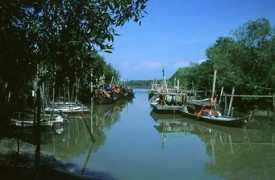 mir.com.my Tanjong