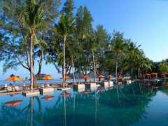 malaxi.com Tanjung