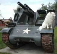Tank