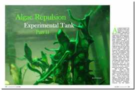 aquascapingworld.com Tanl