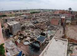 visoterra.com Tannerie