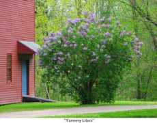 paulscharffphotography.com Tannery