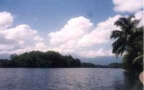 honduras.com Tansing