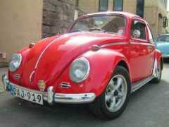 superbeetles.com Tanti