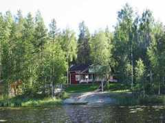 luvehniemi.net Tapion