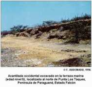 Taques