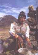 Taqui