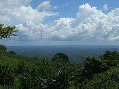 wikitravel.org Taracha