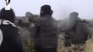 ynetnews.com Taranja