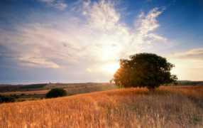 fotoblur.com Tarawneh