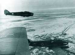 virtualarad.net Taraze