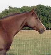 windcreekfarm.com Tardier