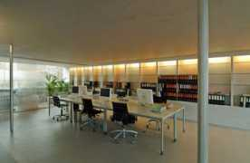 dailytonic.com Tardin