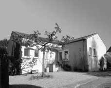 dailytonic.com Tardin