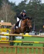 poneydesport.com Tarelle