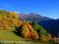 fond-ecran-image.com Tarenta