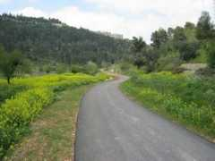 panoramio.com Taril