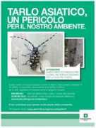 02blog.it Tarlo