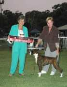 helencatherinecramer.com Tarnell