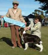 helencatherinecramer.com Tarnell