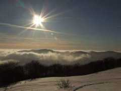 panoramio.com Tarnica