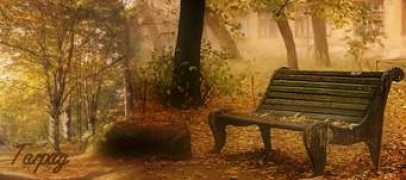 tarpay.gportal.hu Tarpay