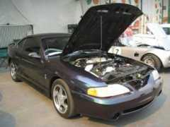 1996mysticcobra.com Tartaglio