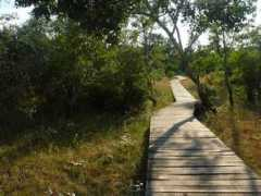 panoramio.com Tartos