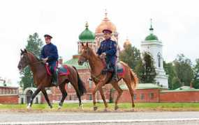 goldmustang.ru Tarutin