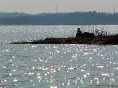 taivasalla.net Tarvon