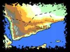shibamonline.net Taryam