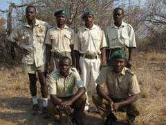 africanxmag.com Tashinga